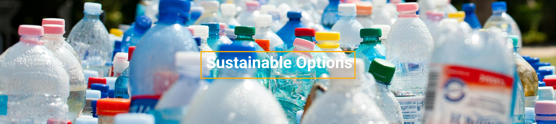 Sustainable Options Banner